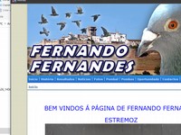 Fernando José Costa Fernandes