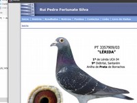 Rui Pedro Fortunato Silva